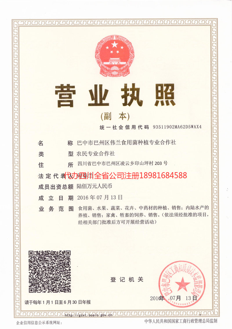 漳平漳平伟兰食用菌种植专业合作社